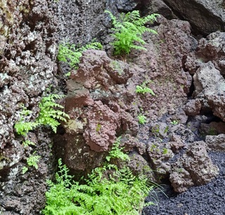 Grotta Tsunami